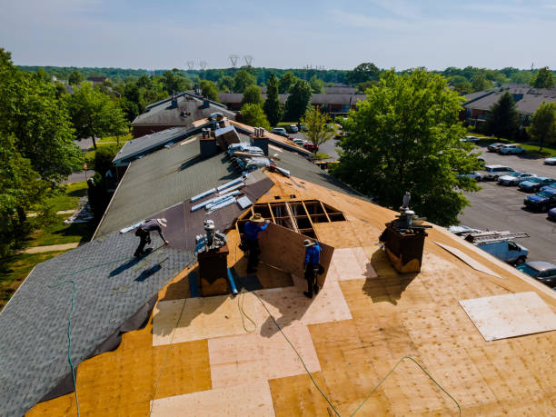 Best Storm Damage Roof Repair  in Uniontown, AL