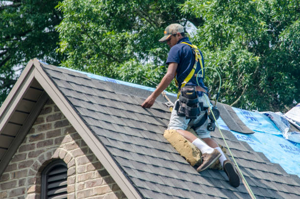 Best Roof Maintenance Services  in Uniontown, AL